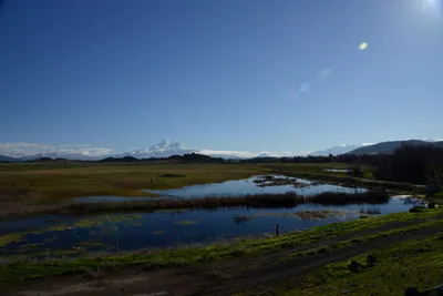 DSC_1048 (Large).JPG